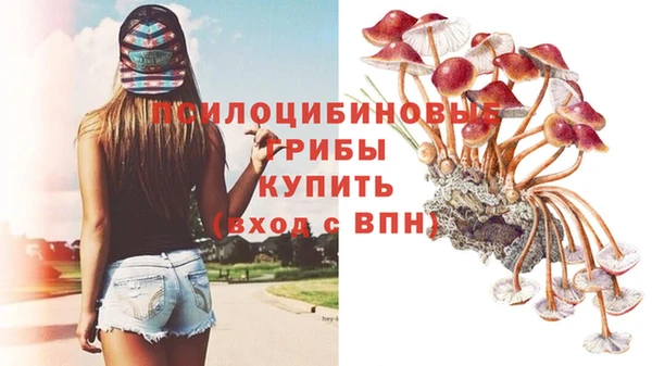 mdma Гусев