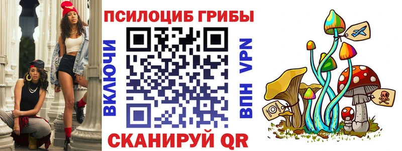 Псилоцибиновые грибы GOLDEN TEACHER  купить закладку  ссылка на мегу онион  Колпашево 